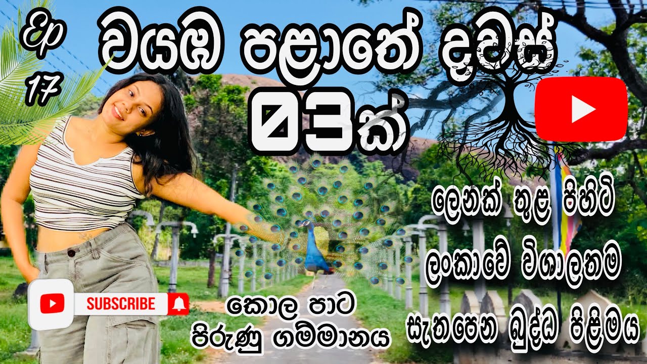 වයඹ පළාතේ ගත කරපු දවස් තුන…. හරිම නිදහස් vibeඑකක් එක්ක❤️🥹✨ යන්නම ඕනේ තැනක්🌳💚