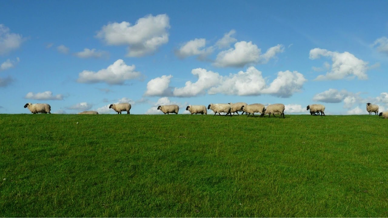 Guided Meditation: Thought Defusion with Clouds in the Sky