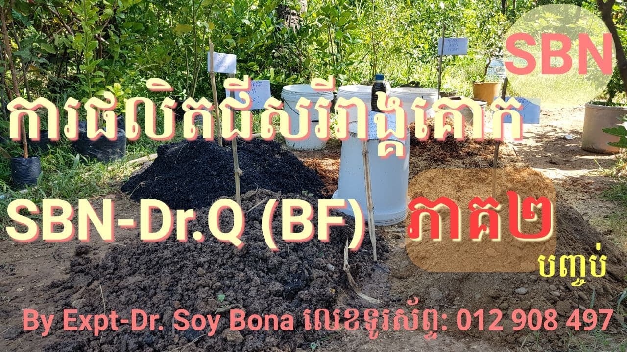ការផលិតជីសរីរាង្គគោក SBN-Dr.Q (BF)ភាគ២(បញ្ចប់) |Soy Bona|