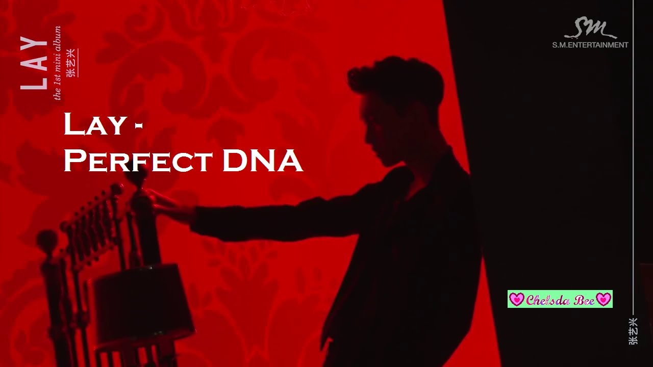 LAY Zhang Yixing 💓 - Sexy - Perfect DNA Video 💜💙