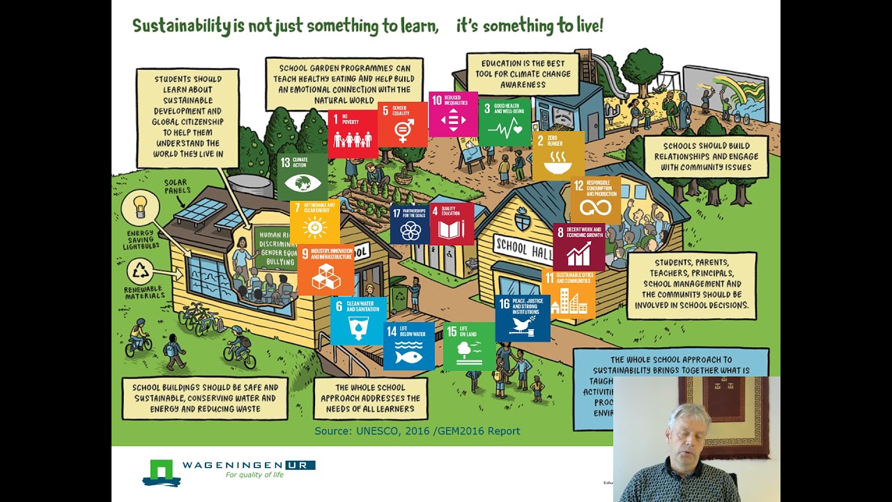 A Networked and Nested Whole Institution Approach to Sustainability