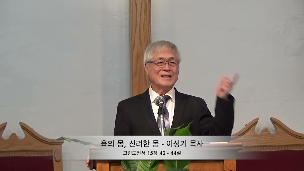 육의 몸, 신려한 몸