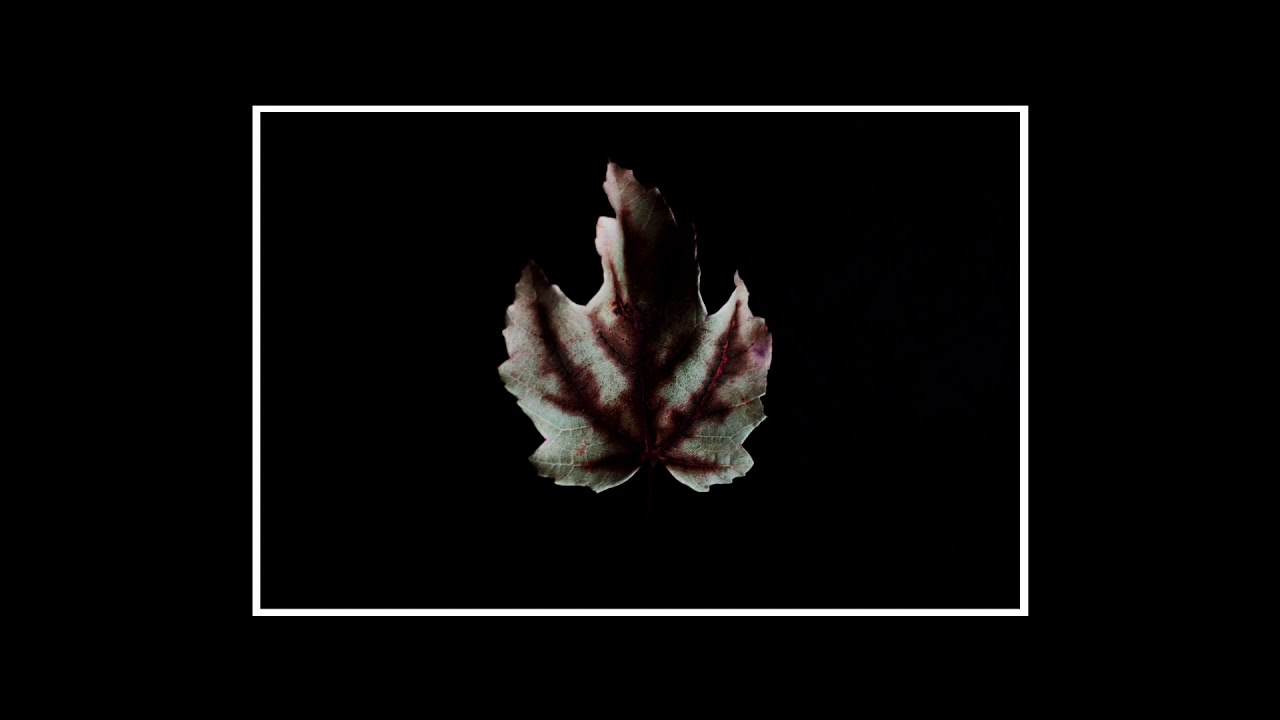 [SOLD] Post Malone Type Beat x The Weeknd Type Beat - 