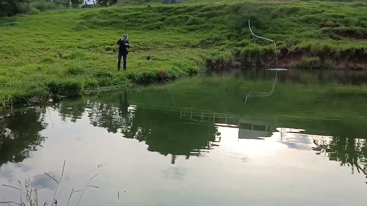 Lambaris no Fly Fishing ou lambaris na pesca com mosca? Diversão garantida com os gigantes!