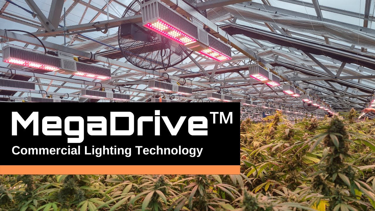 MegaDrive&trade; Lighting Technology - California Lightworks