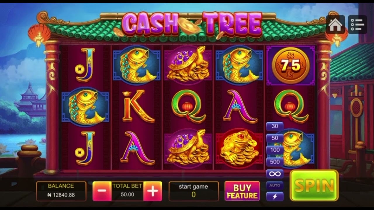 How to play Cash Tree in BetWin 
