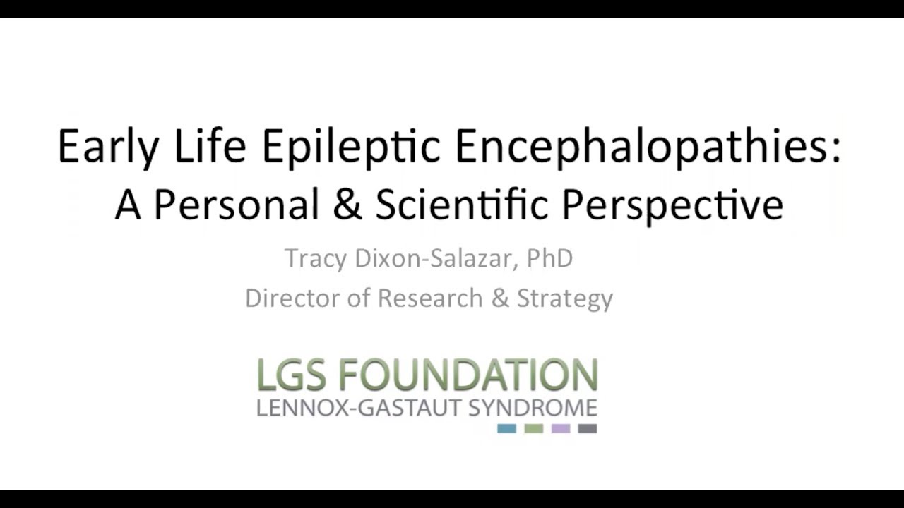Early Life Epileptic Encephalopathies: A Personal and Scientific Persepctive