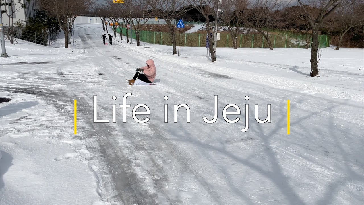 🇰🇷 2월 Jeju VLOG | 제주도민은 겨울에 뭐할까? | 눈썰매 | 드림몰 | 갓 수확 | 신화월드 | 카페