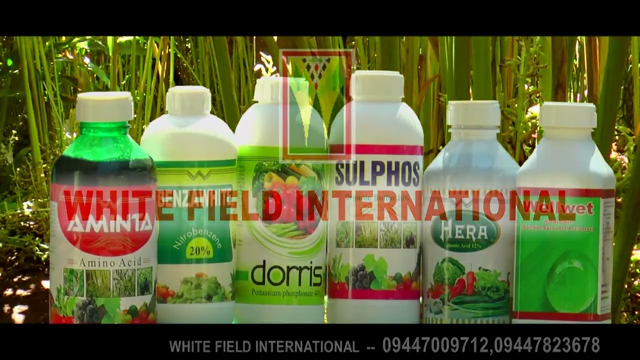 CITYVISION NEWS  17  MARCH  2026