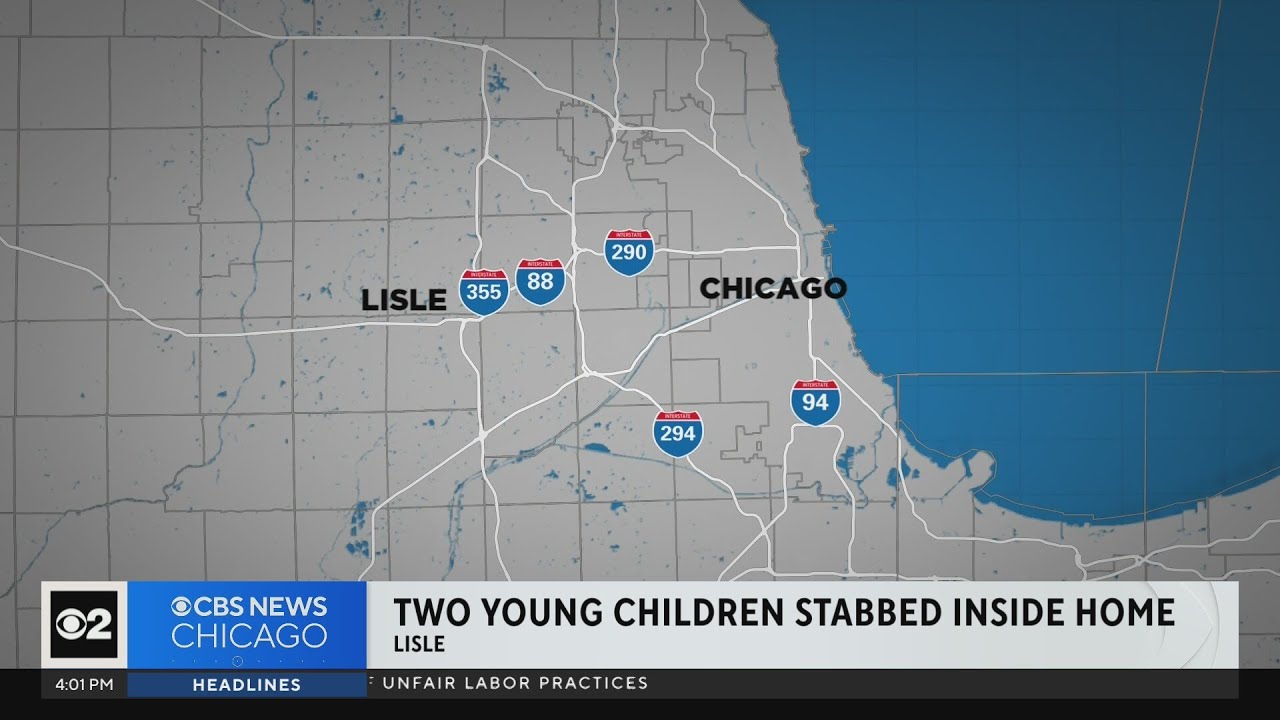 2 children stabbed at home in Chicago suburb, woman in custody