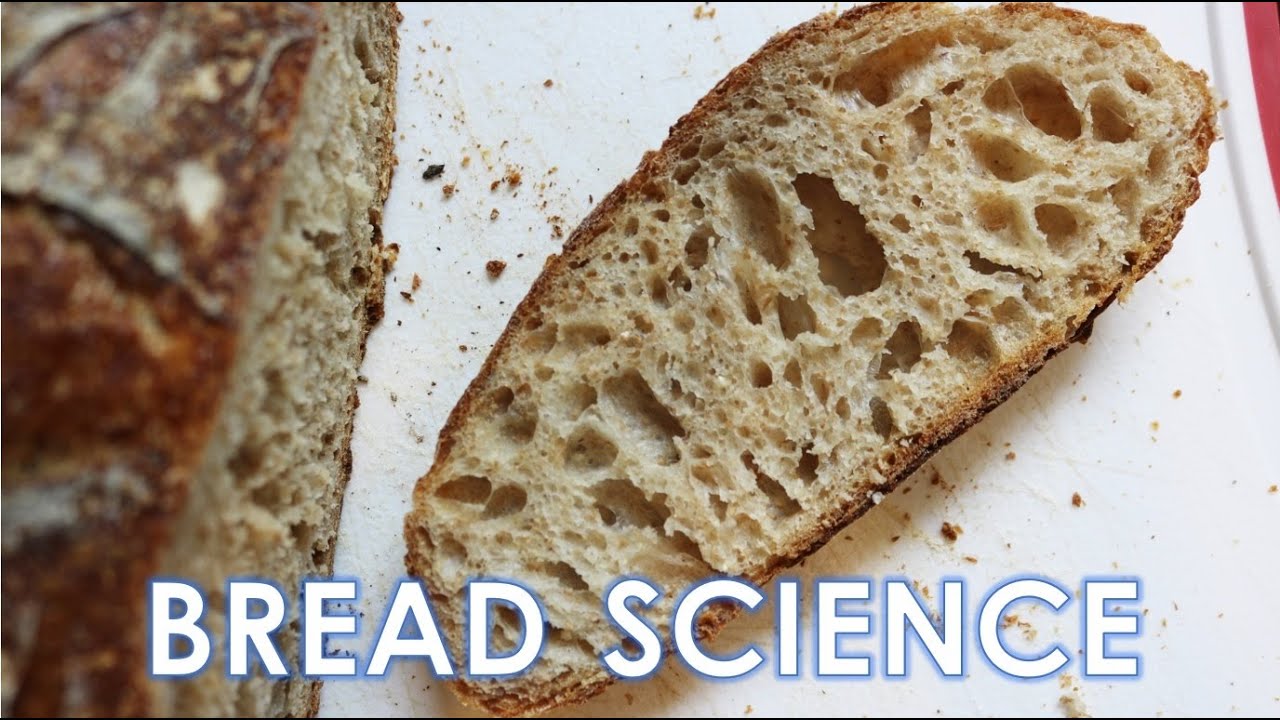 The Science of Bread (Part 1) - Flour Water Yeast Salt