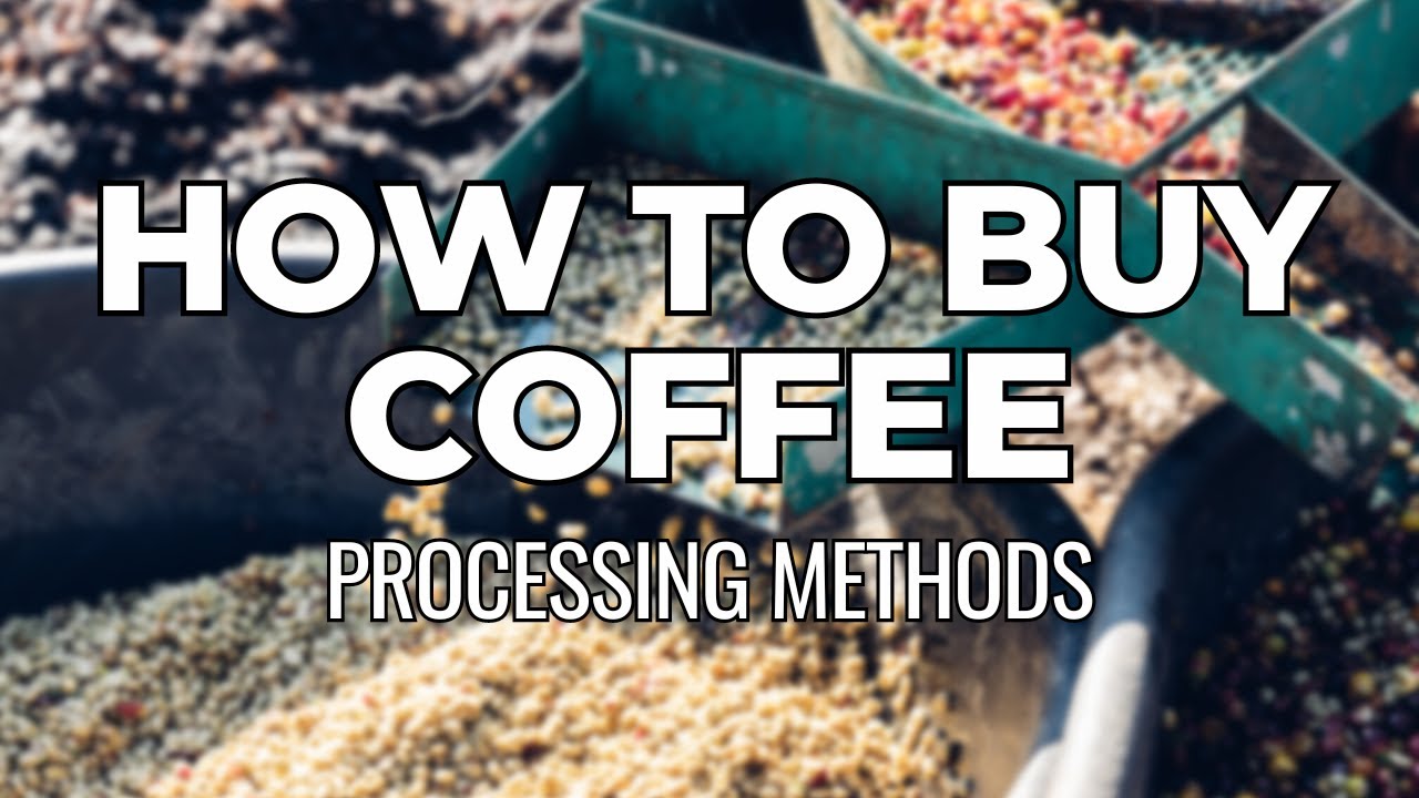 What are the Different Coffee Processing Methods?