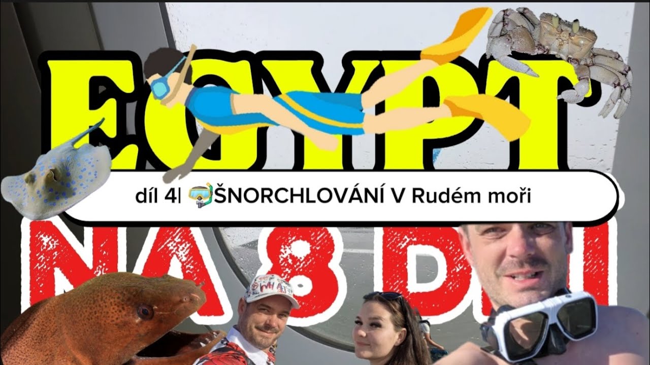 Šnorchlování🤿 v Rudém moři – stálo to za to? 🐠 | 8 dní v Egyptě🇪🇬 