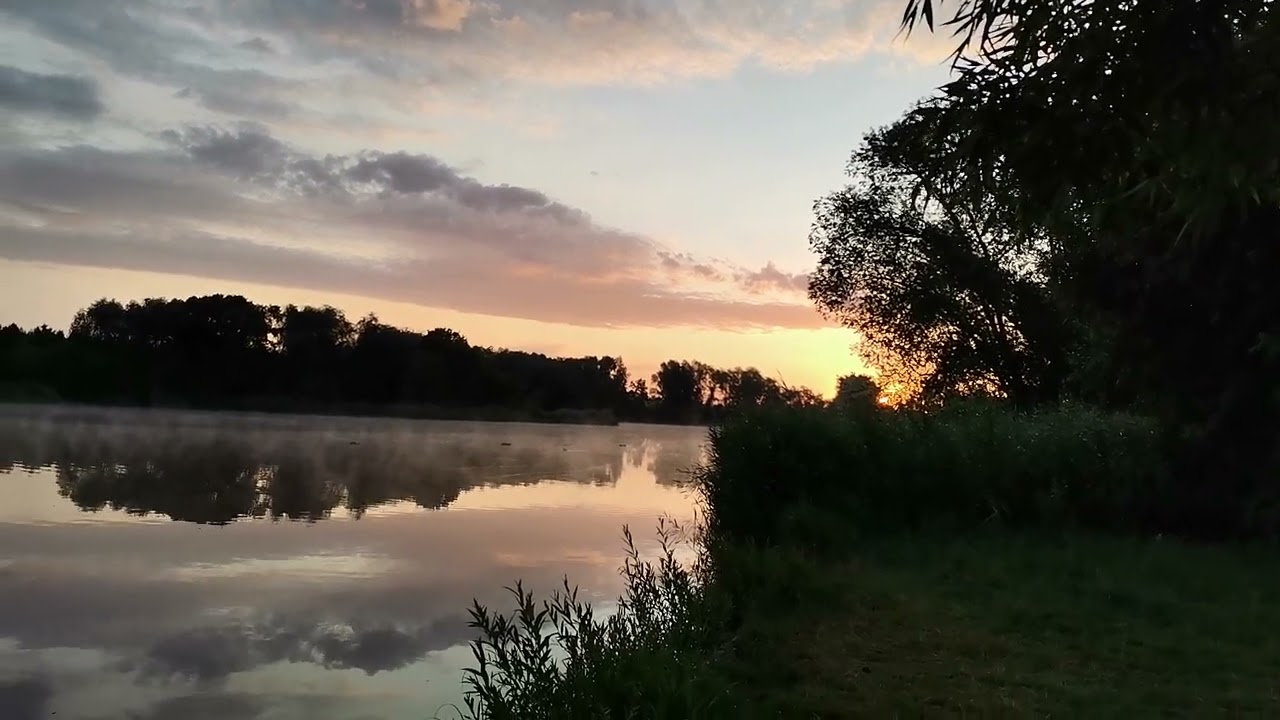 Opfermoor niederdorla Sonnenaufgang 17.7.2023 VID 20230717 053825