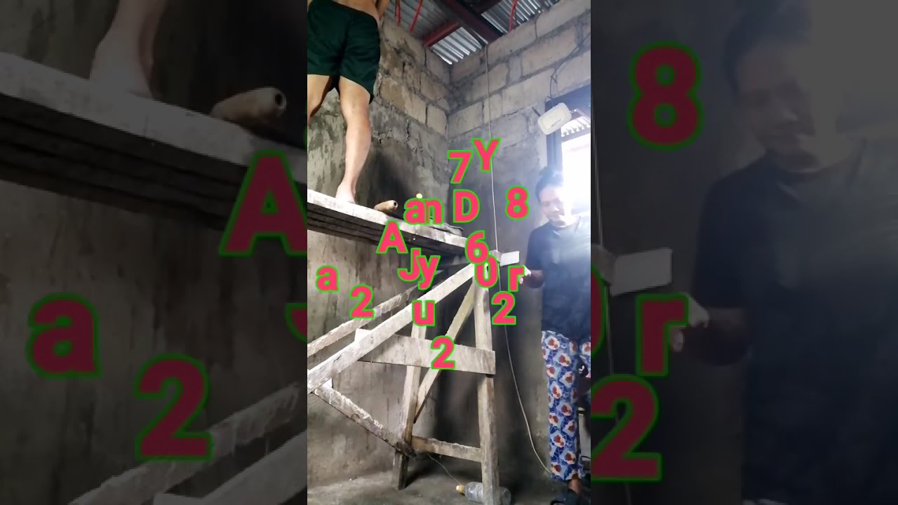 DIY Wall Plastering @Marcus Room | January 14 - 30 2026 