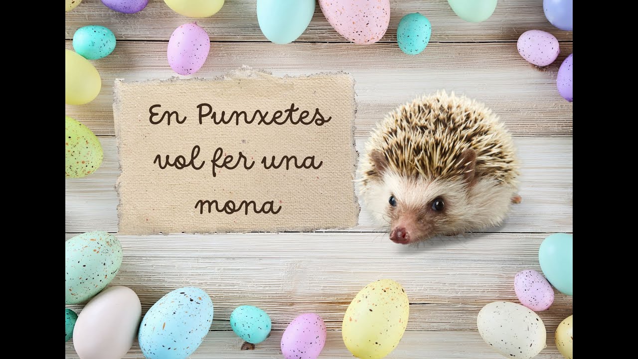 PUNXETES I LA MONA