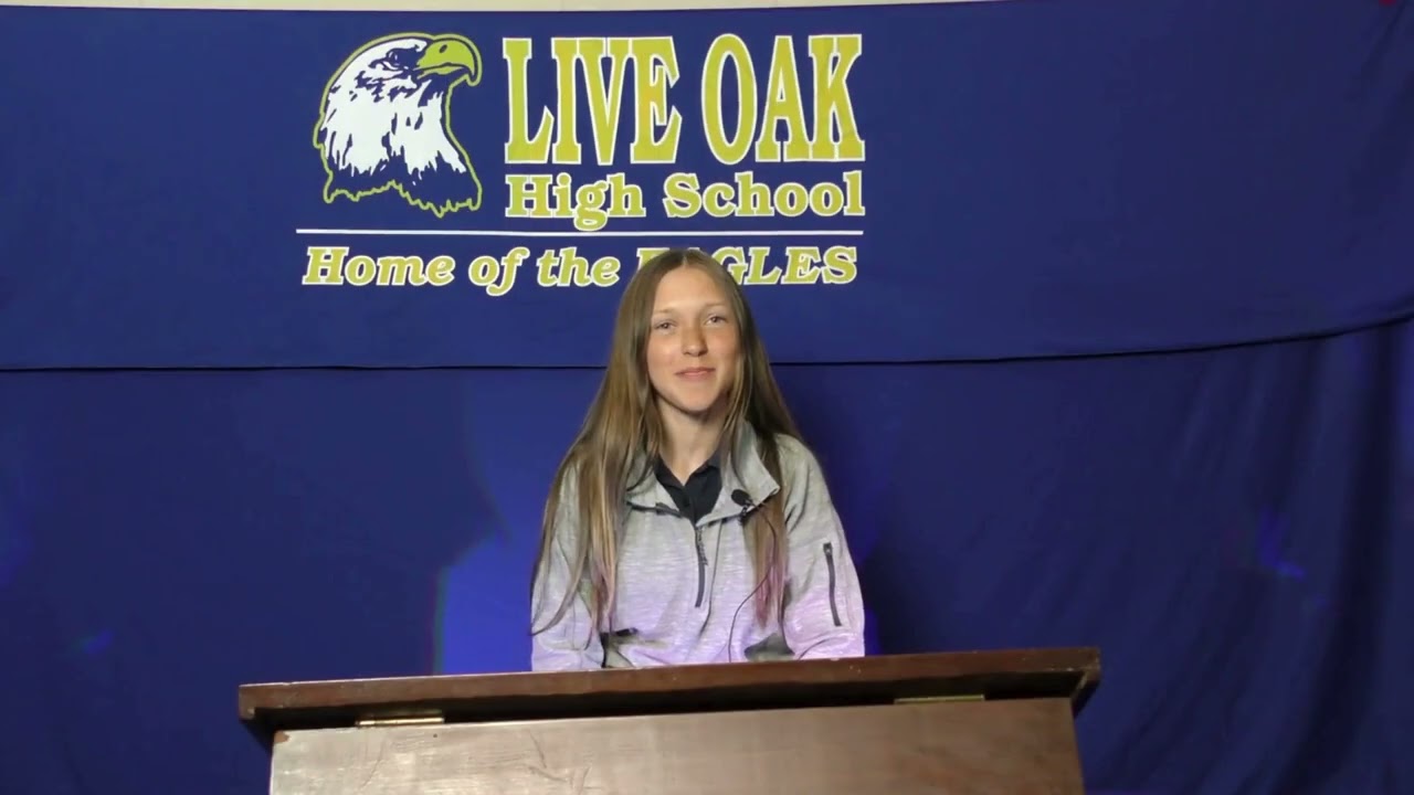 Soaring Eagle Volunteer Award - Cindee Roddy