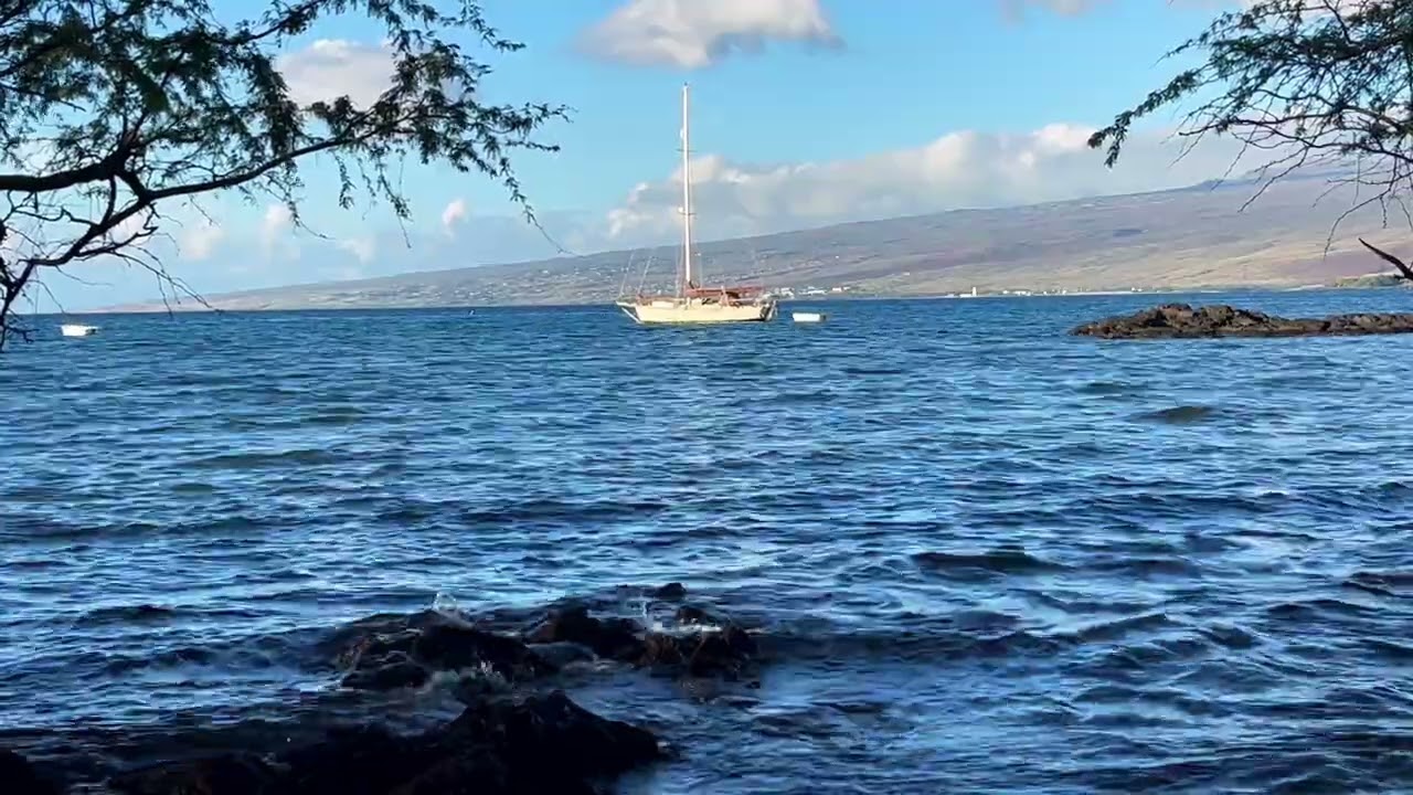 Outside Puako Town 1 of 2 - Island Horizon Videos 2066