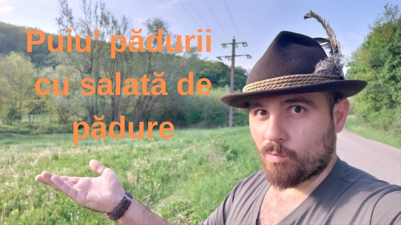 Cum să Puiul Pădurii cu Salată de Frunze Sălbatice