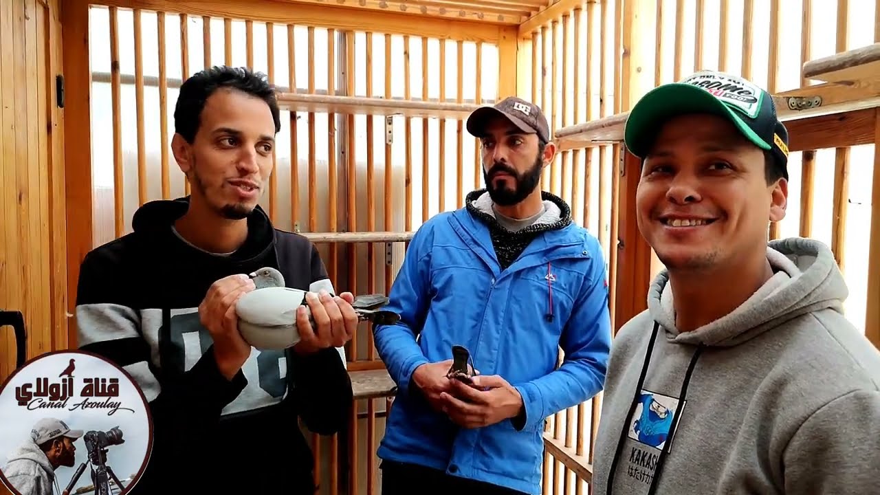 تولع عادا قول . توليعة في المستوى الرفيع عند البطل الكبير فهمون/سعيد ومرحبا بالجميع