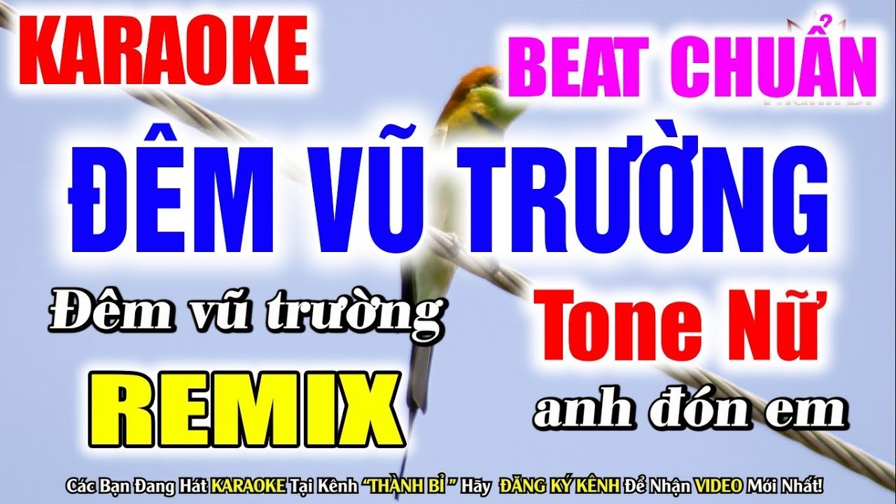 ĐÊM VŨ TRƯỜNG KARAOKE - REMIX - TONE NỮ - NHẠC SỐNG BEAT CHUẨN - TỶ NGÔ MEIDA