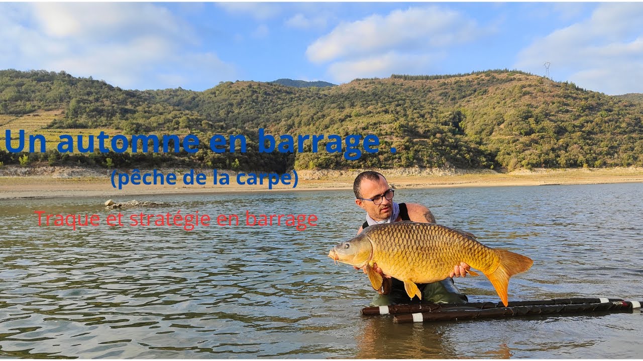 La Carpe , Un automne en barrage . (carpfishing)