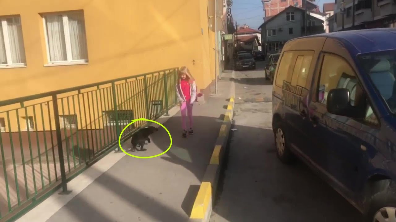 Он бродил в одиночестве по улице, прося помощи у каждого прохожего, но получал лишь холодное сердце!