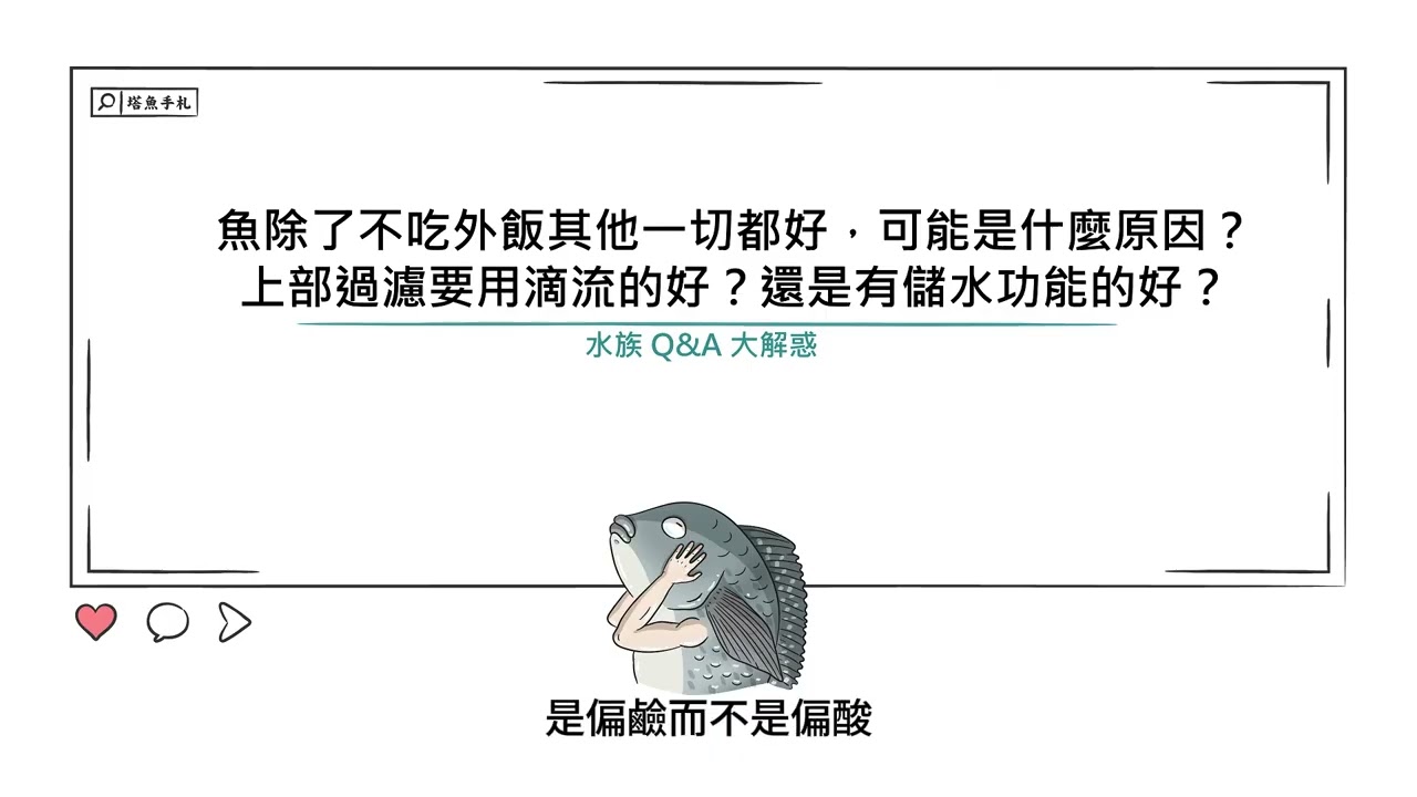 [水族大大不要聽]S2Ep40魚除了不吃外飯其他一切都好，可能是什麼原因？/上部過濾要用滴流的好？還是有儲水功能的好？