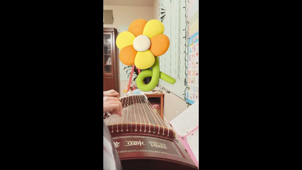 学习的音乐🎵Guzheng