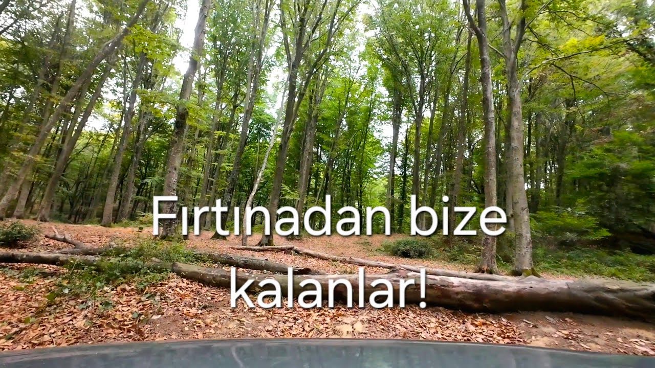 Vitara Günlükleri - Bölüm: Fırtınadan bize kalanlar! #suzuki #vitara #offroad @VitaraGünlükleri 
