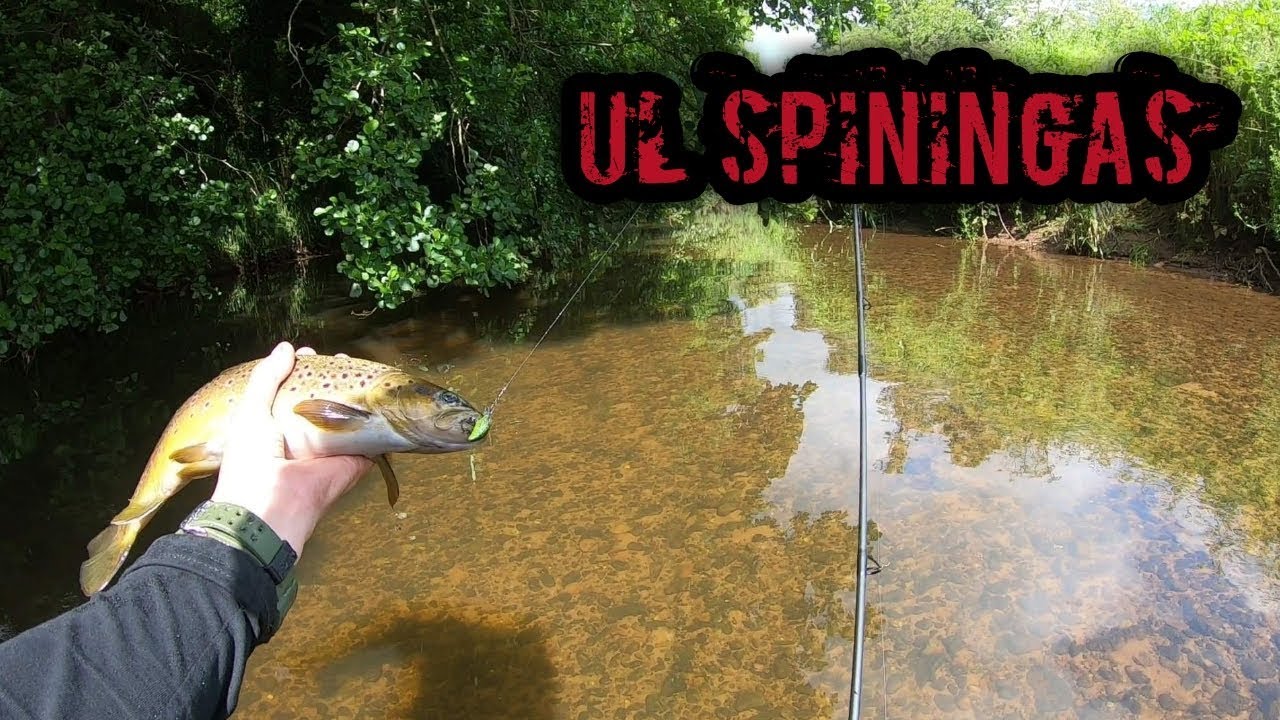 UL spiningas upėje ir nauji bridbačiai