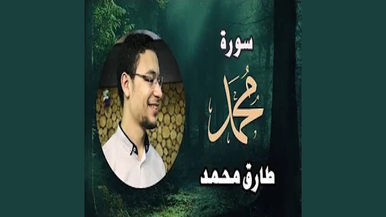 طارق محمد سورة محمد 2