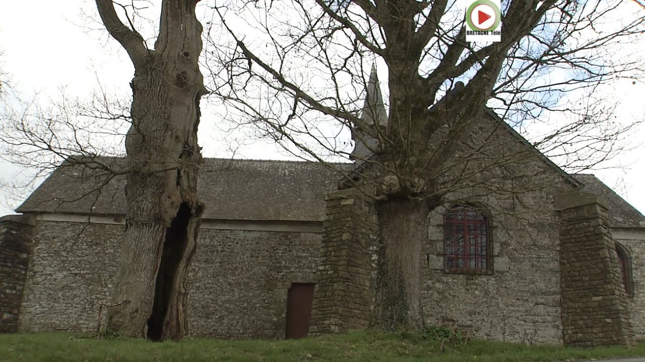 NÉANT-SUR-YVEL |  Les Chênes creux de Kernéant |  Bretagne Télé