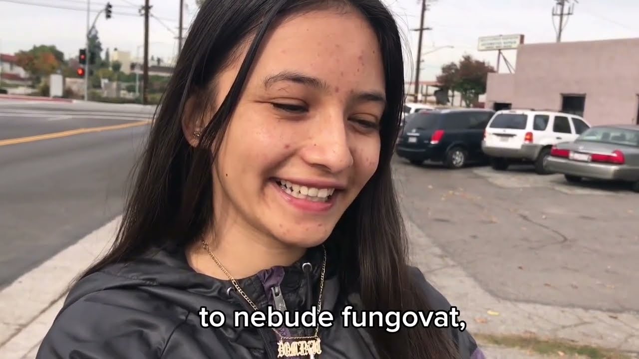 Jak vypad&aacute; biblick&aacute; evangelizace