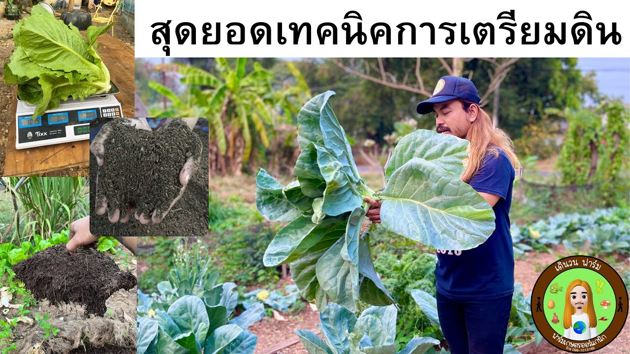เผยเคล็ดลับเทคนิคการเตรียมดินก่อนปลูกพืช ปลอยภัย ปลอดสาร ปลอดโรค จบในคลิปเดียว
