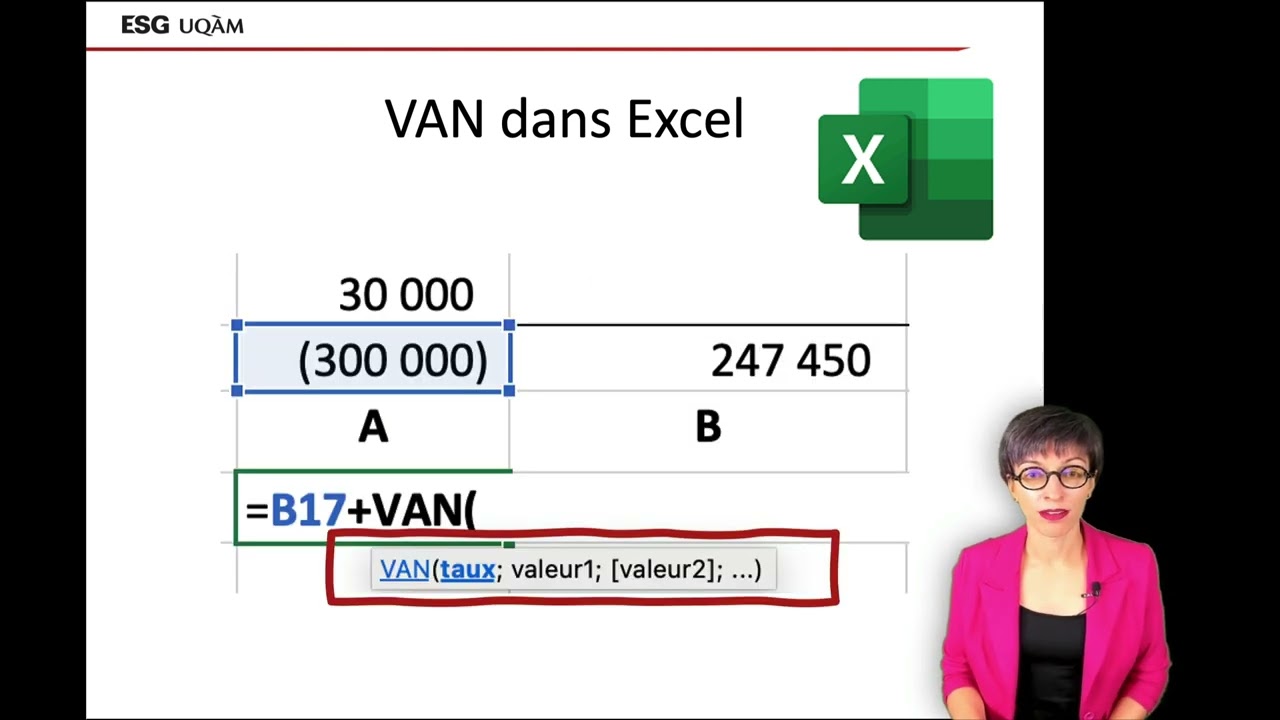 Valeur actualisée nette (VAN)