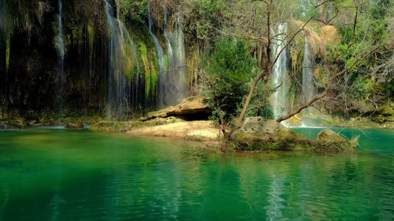 CLASSICAL VIOLA / ADAGIO DELLA VITA / BIG GRREN