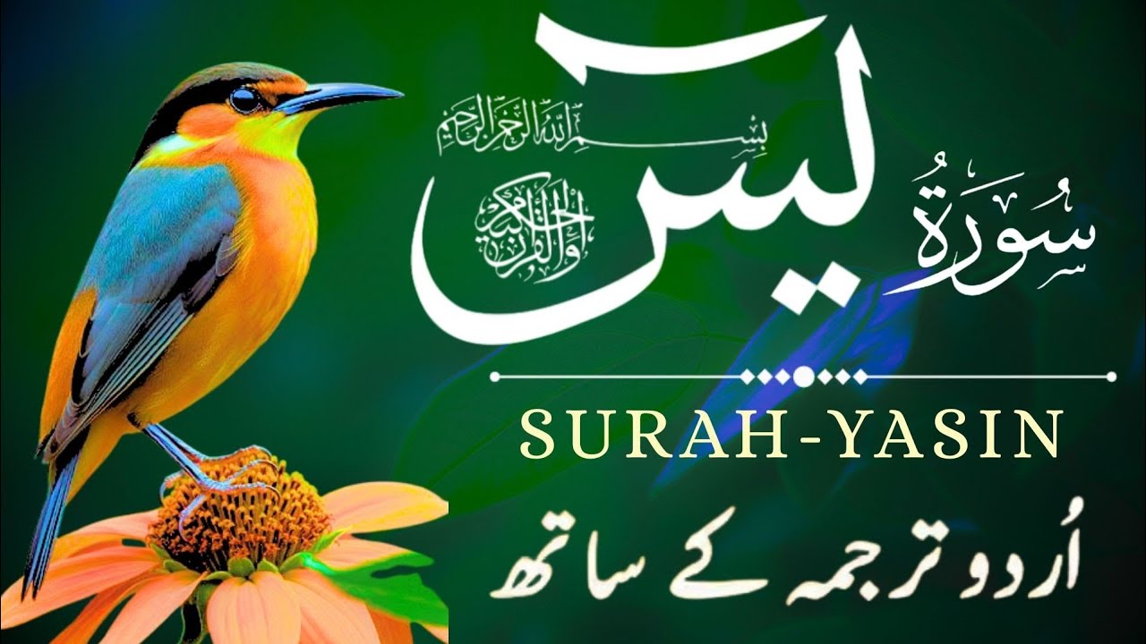 Surah Yaseen with Urdu Translation – Episode 87 | Heart Touching & Meaningful Recitation