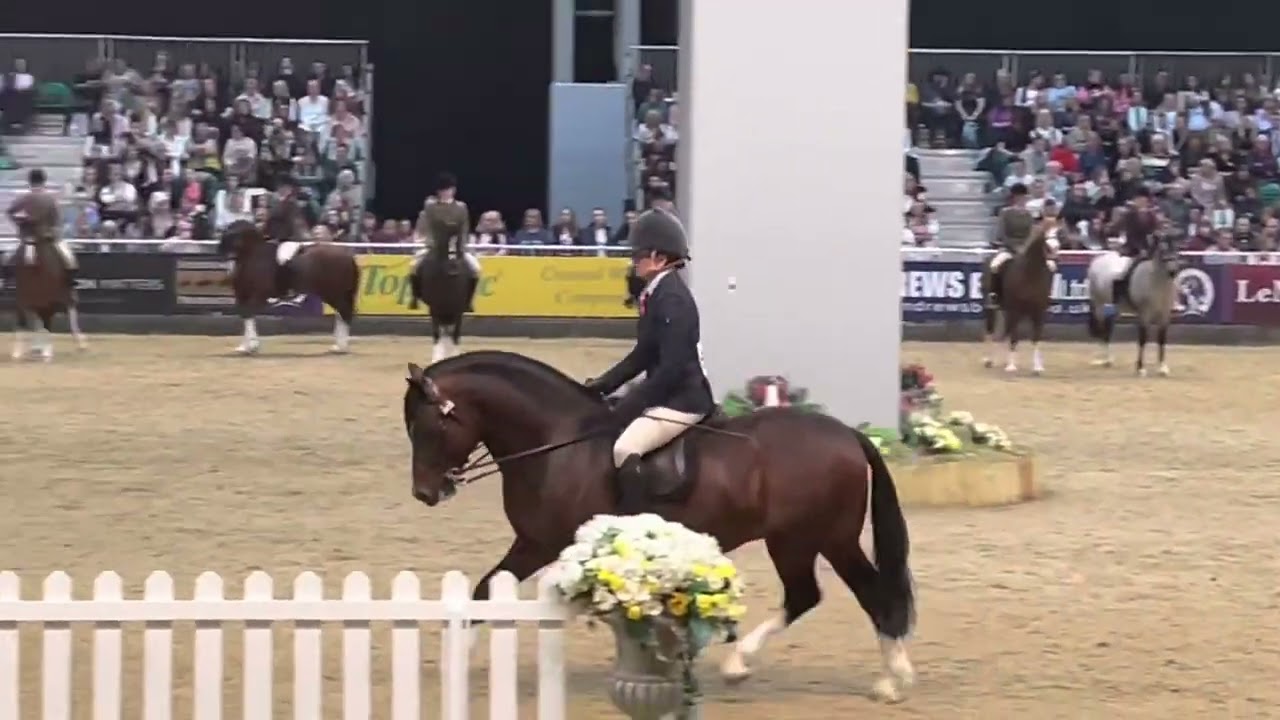 Hoys 2022