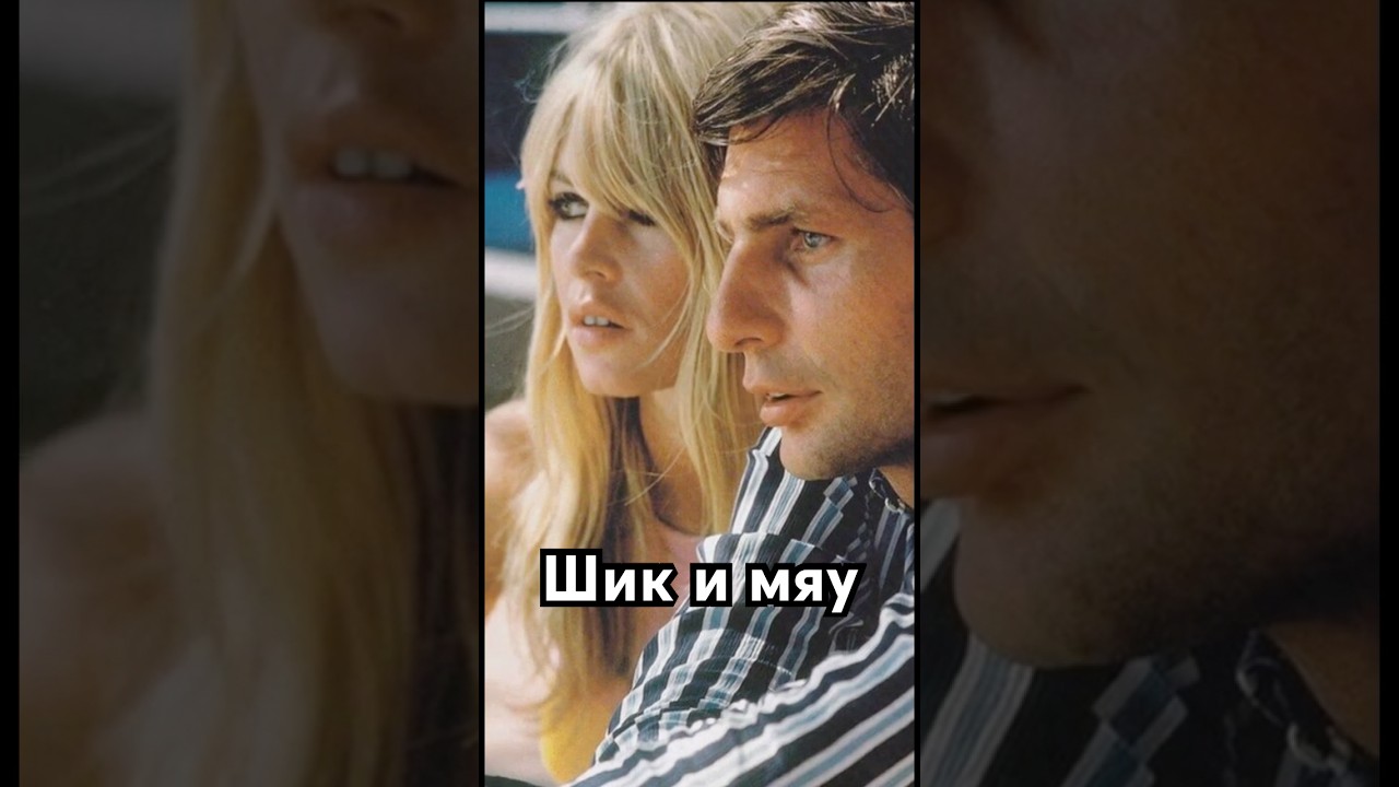 Шик и мяу #история #точносказано #history #хочуфакты #загадка #кино #скрытые #рекомендации