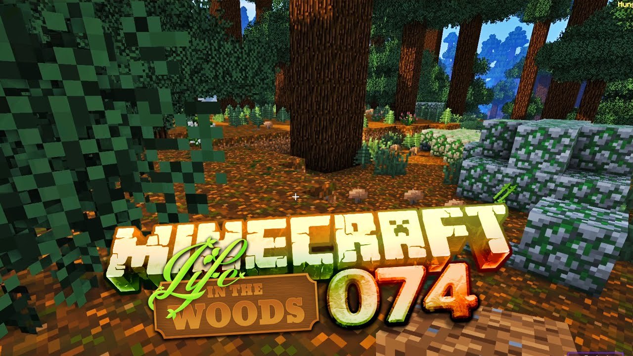LIFE IN THE WOODS [S01E074] - Was ist der SINN des Lebens?