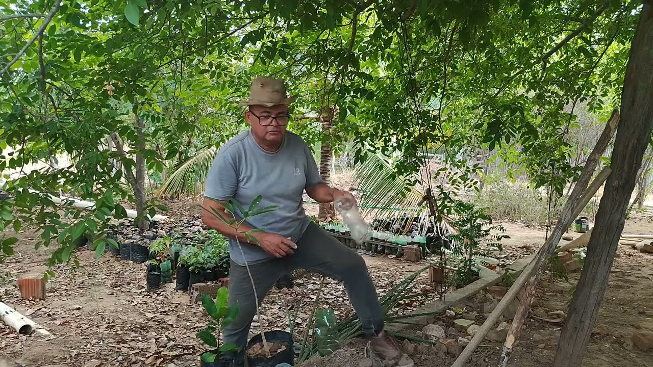 NORDESTINO TRABALHANDO EM PLENO DOMINGO EM PRÓ DA NATUREZA.