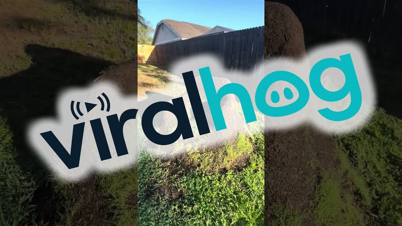 Grass Chair 6 Months in the Making || ViralHog