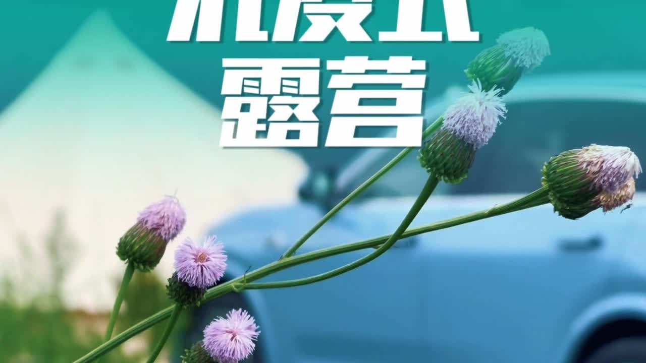 沉浸式露营【第二期】 #理想L7 #露营 #蒙古包帐篷 #户外露营 #理想汽车
