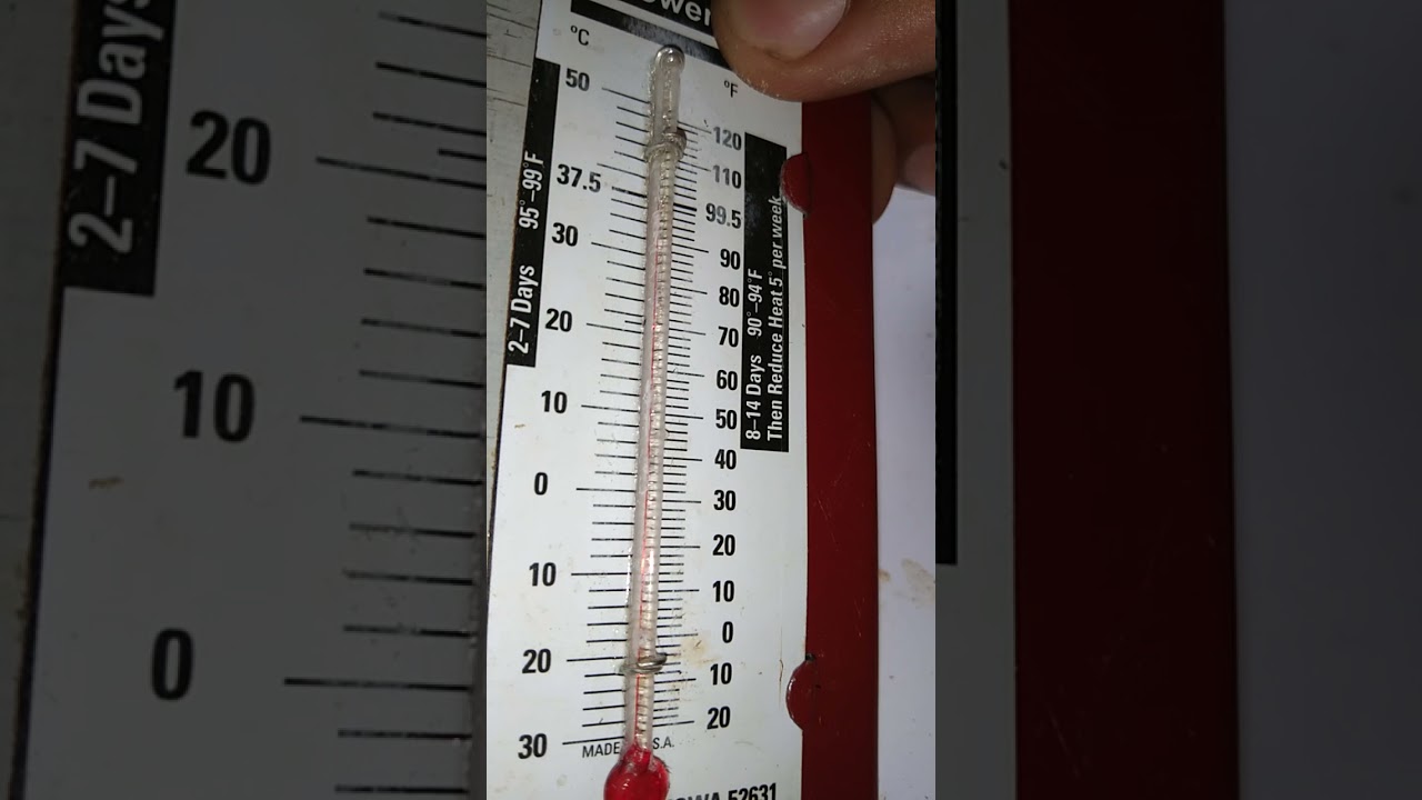 How to Correct brower Thermometer?