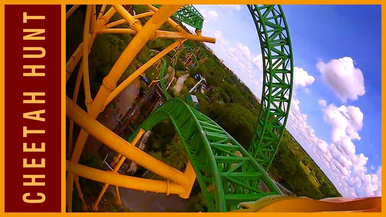 Cheetah Hunt Roller Coaster GoPro Hero2.mp4