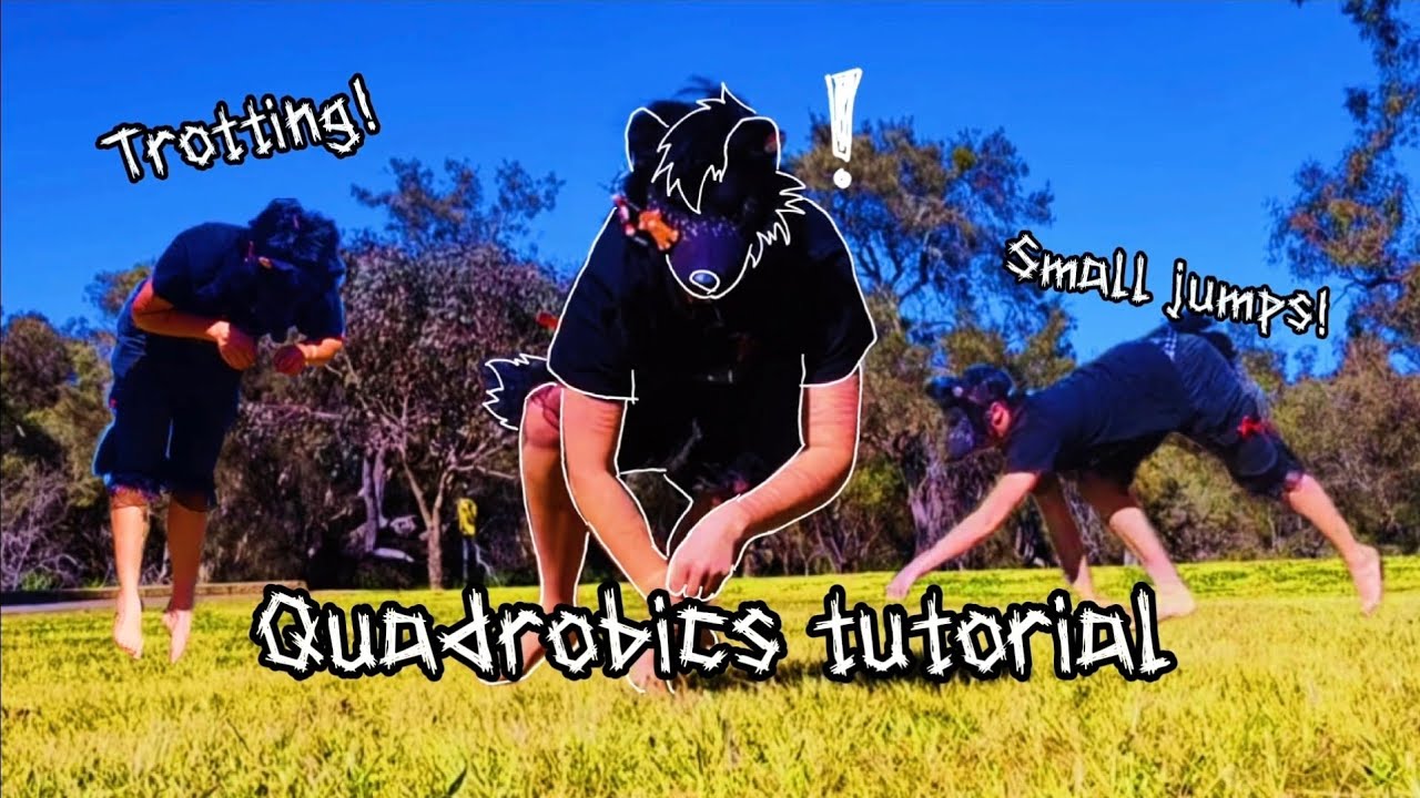 Full Quadrobics Tutorial! (All gaits and small jumps!)