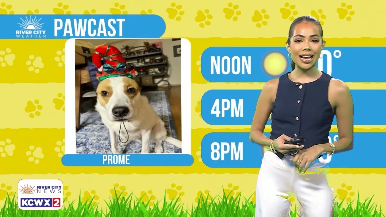 PAWCAST FORECAST:  MEET PROME