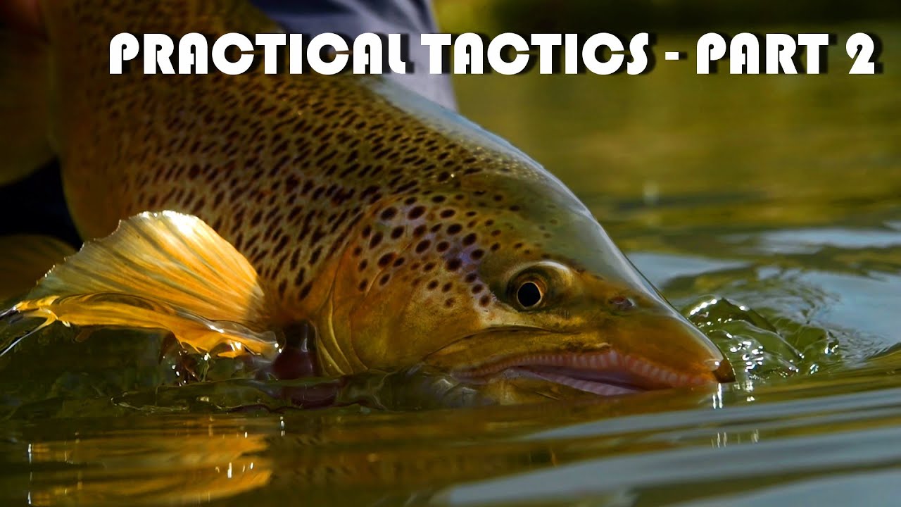 Big Brown Trout: Real-Life Cloudy Day Trout Stream Sight-Fishing Tips & Tactics. Part 2