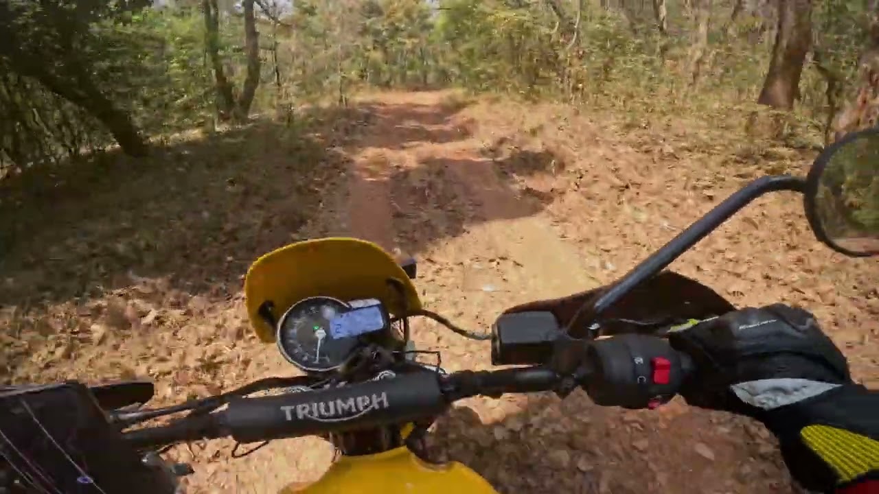 Triumph Scrambler 400XC on the trail. POV.